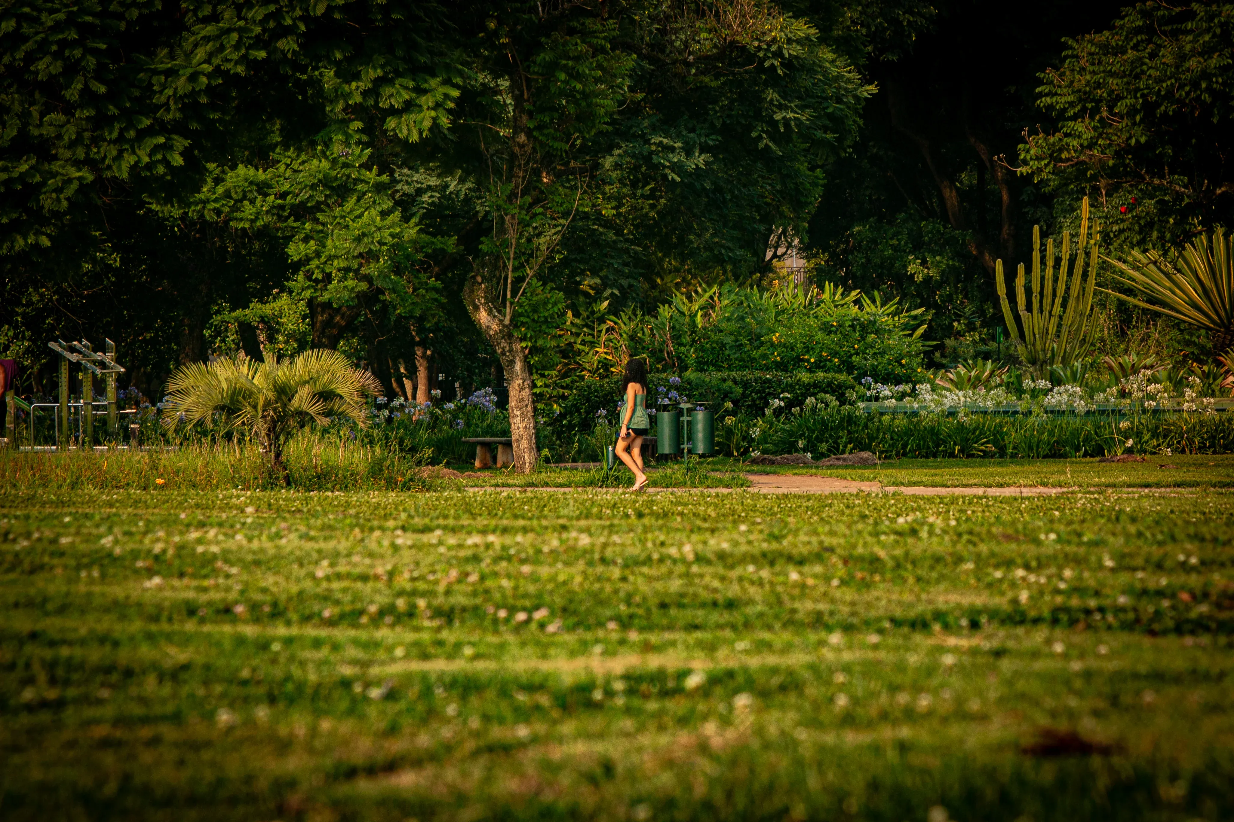 Wide park lawn with dense trees and a woman walking on a path