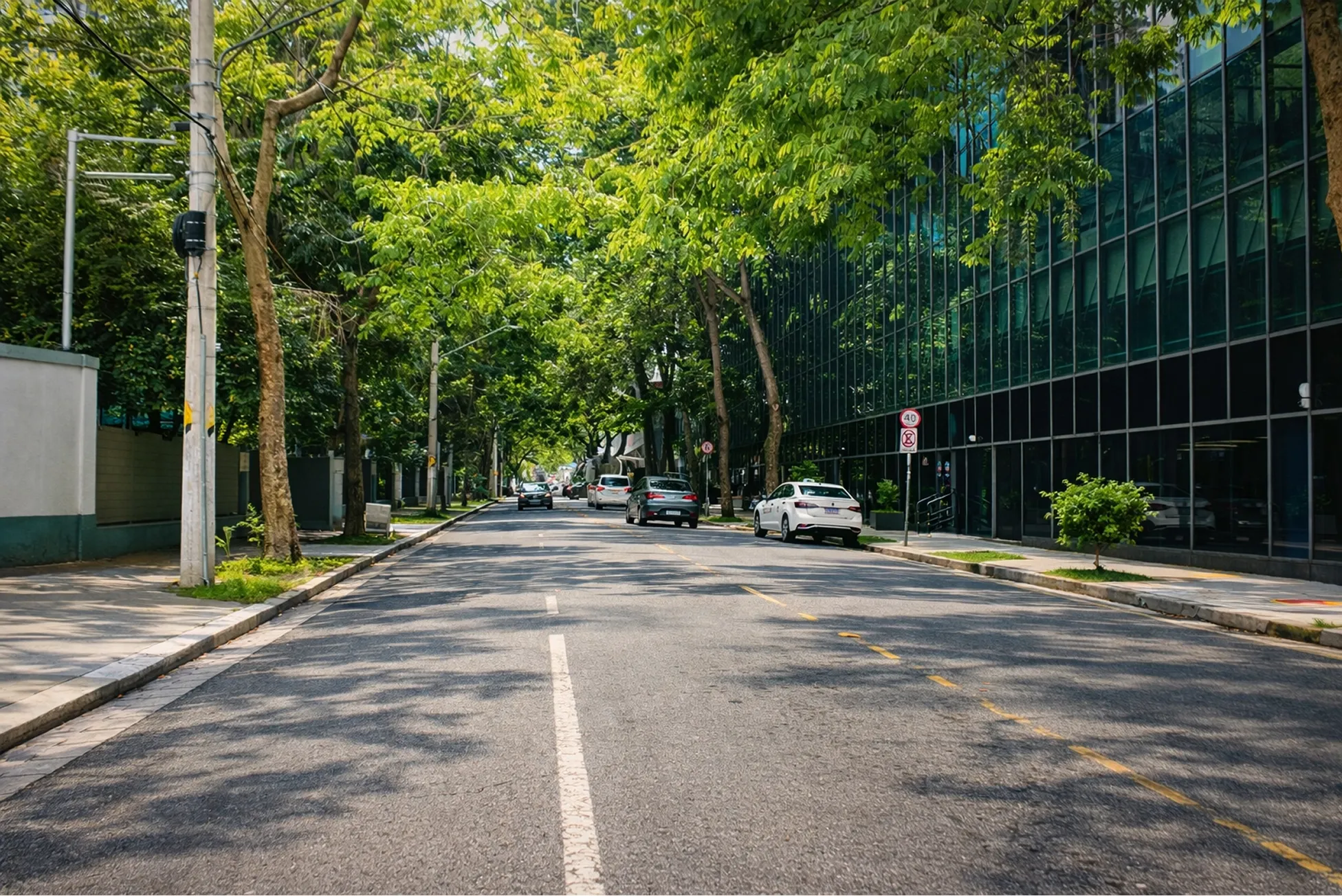 Quiet tree-lined urban street with parked cars and a glass office building