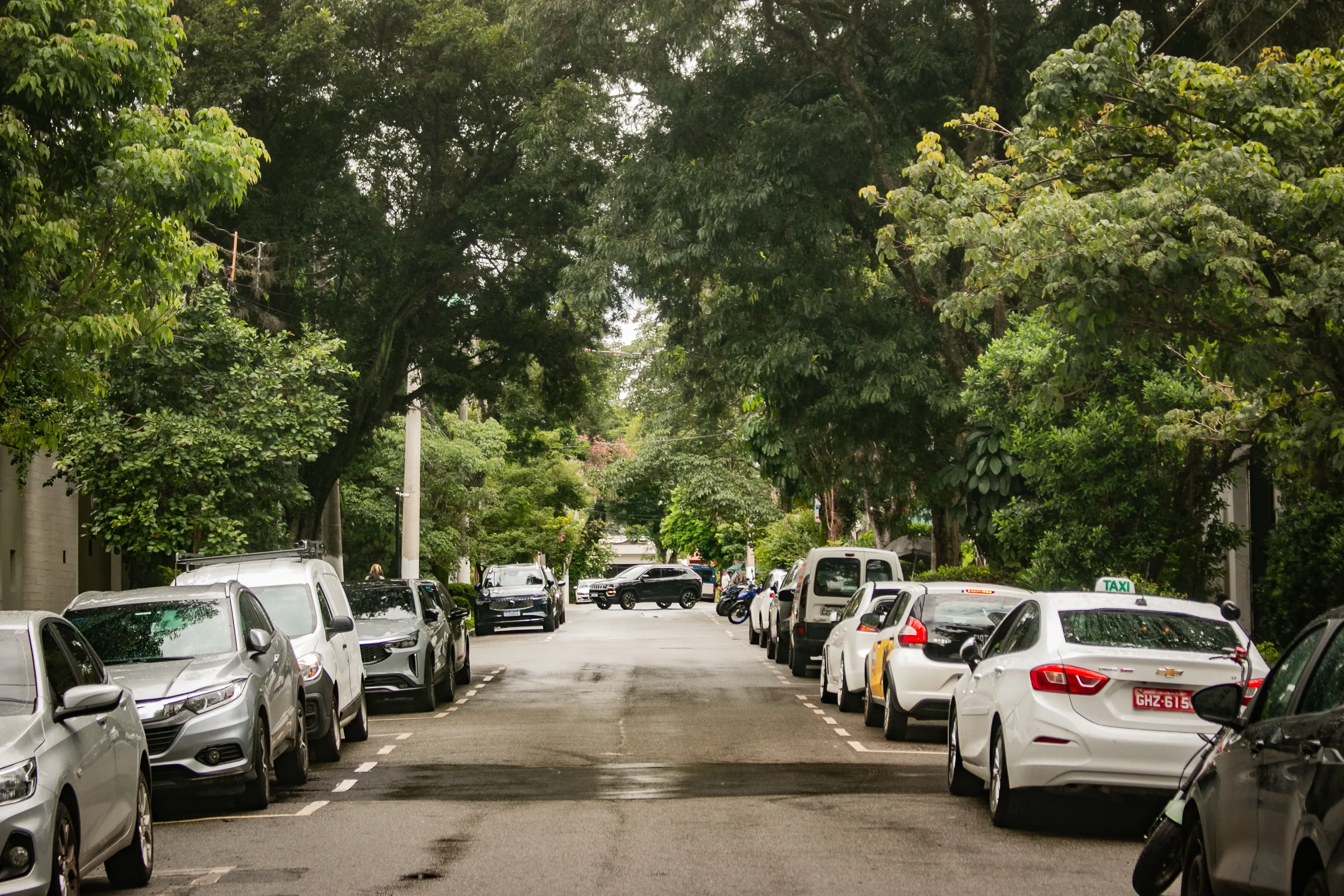 Quiet tree-lined residential street with parked cars on both sides