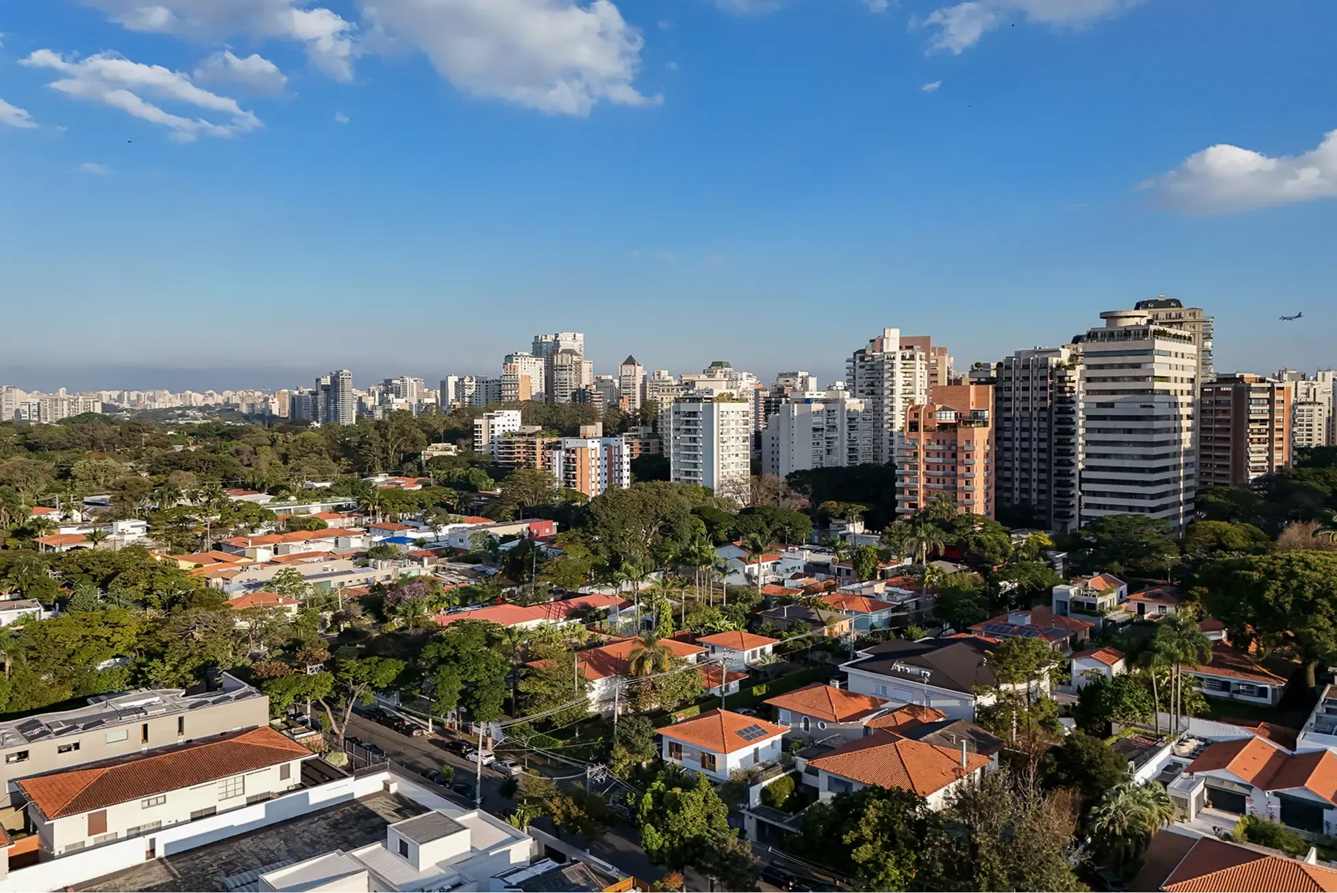 High-rise skyline rising above treetops and low residential blocks