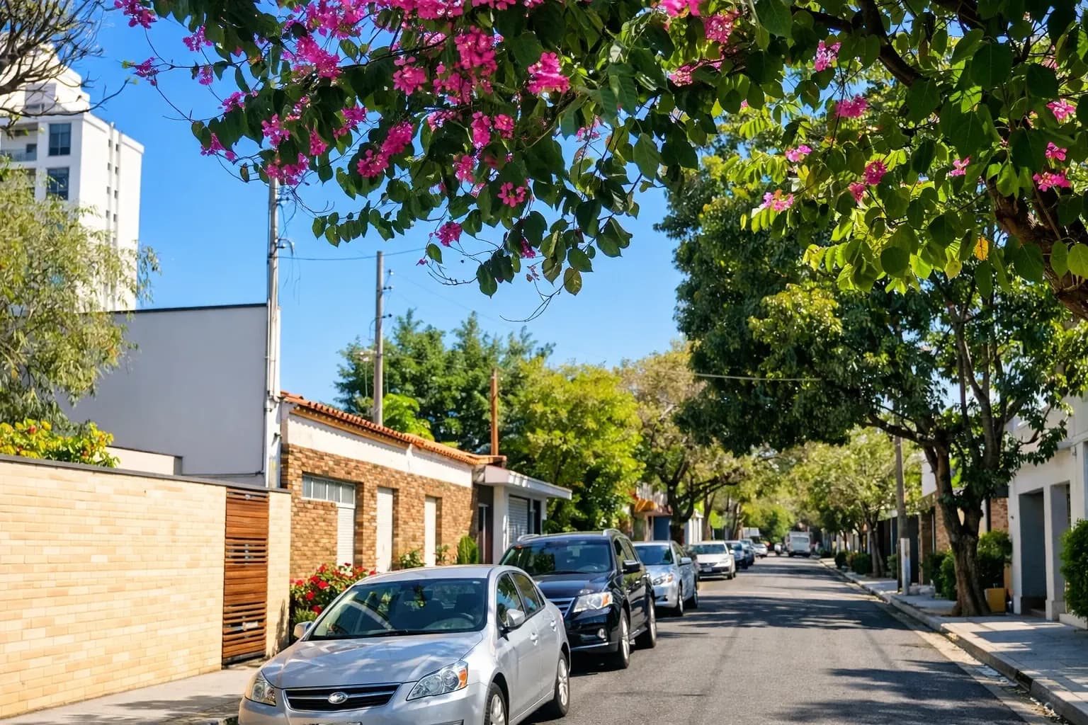 Quiet neighborhood street with parked cars, leafy trees, and pink flowers hanging over the road