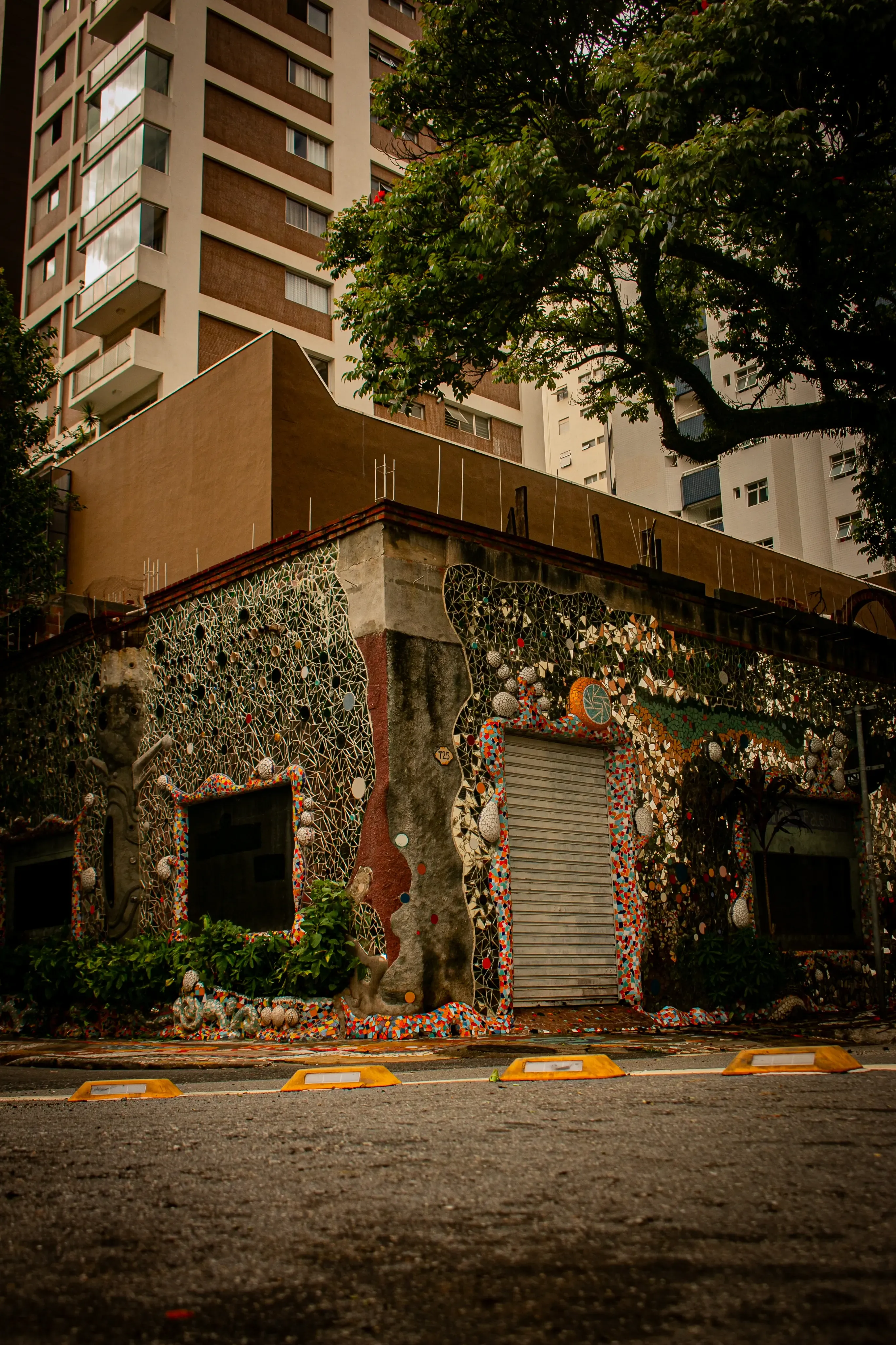 Residential street in Moema covered by tree canopies and parked cars