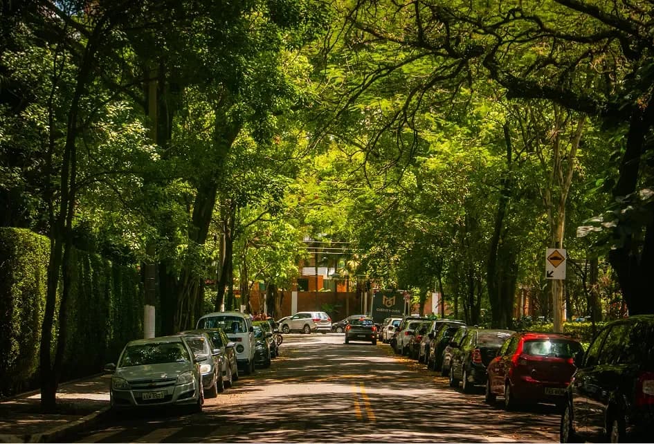 Shaded residential street lined with trees and parked cars